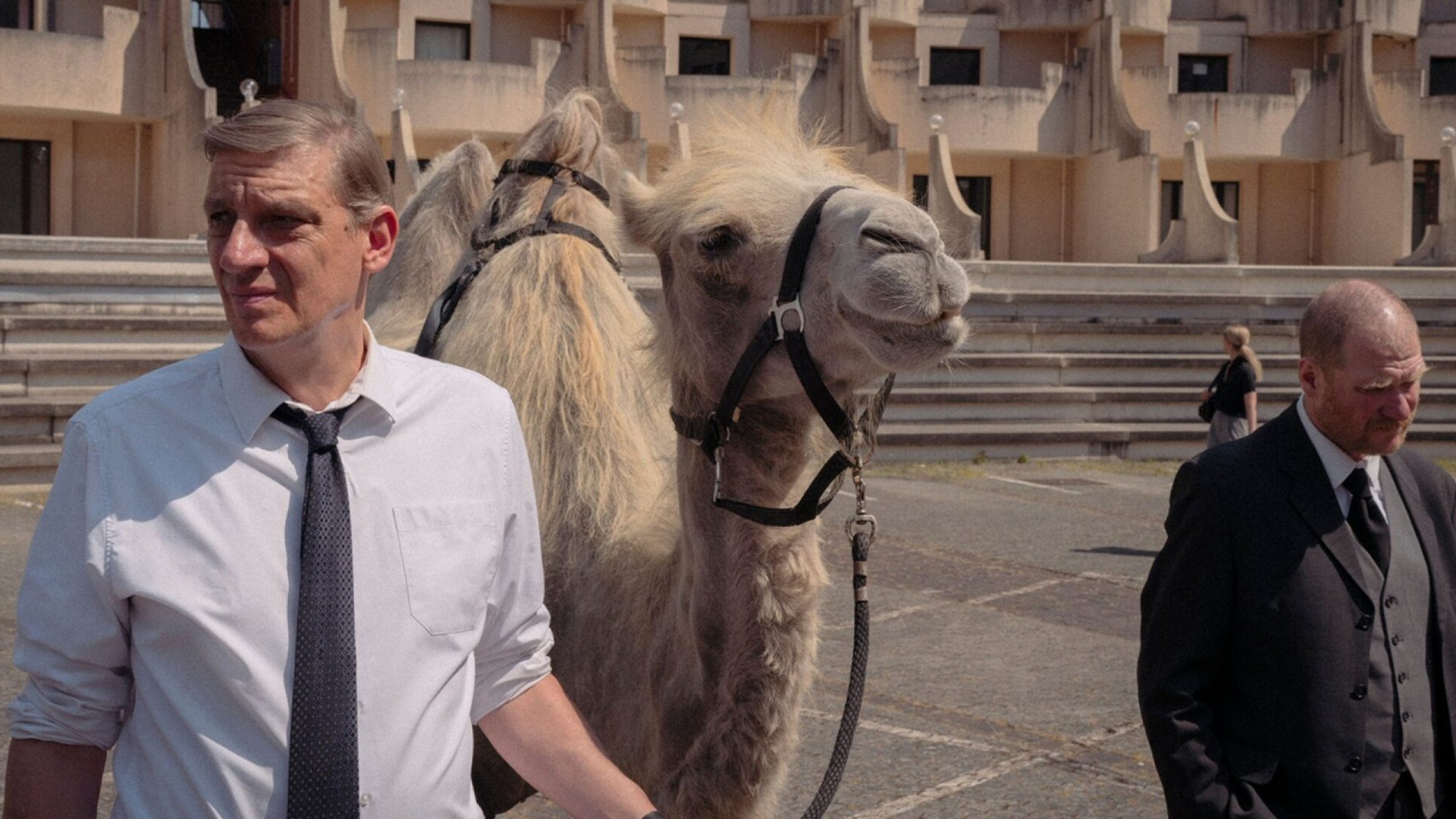 Film Waarom Wettelen in De Luxe