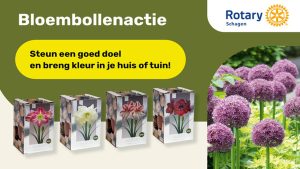 Bloembollenactie Rotary Schagen