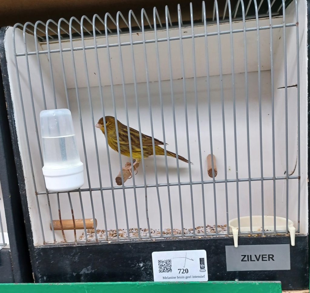 Vogelshow in Spartahal