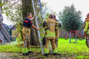 Brandweer haalt kind uit boom in Den Helder