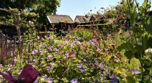 Tuin en kunstroute van Top in de kop