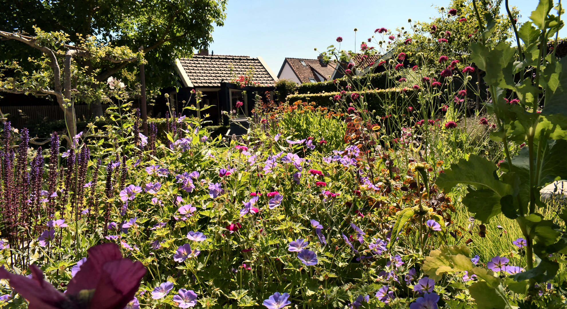 Tuin en kunstroute van Top in de kop