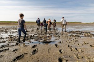 Ontdek het leven op het wad tijdens wadlopen