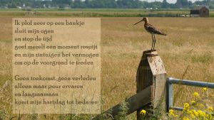 Ontdek kunst en handwerk in Opperdoes
