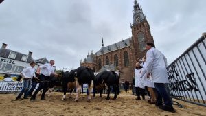 Patrick van den Berg wint Paasvee (Video)