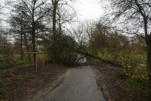 Storm velt boom