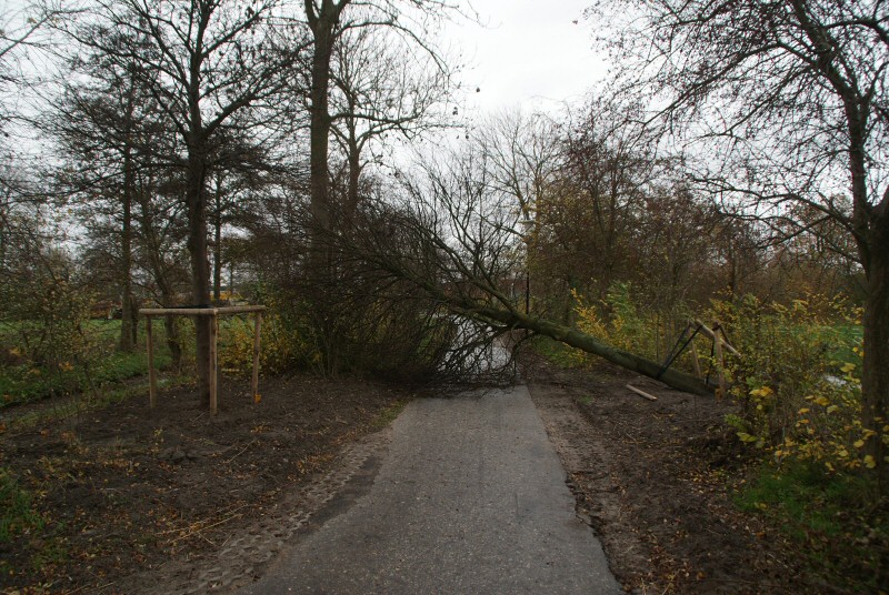 Storm velt boom