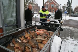 Oorzaak dode vis nog onduidelijk