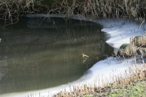 Waterpeil per abuis verlaagd