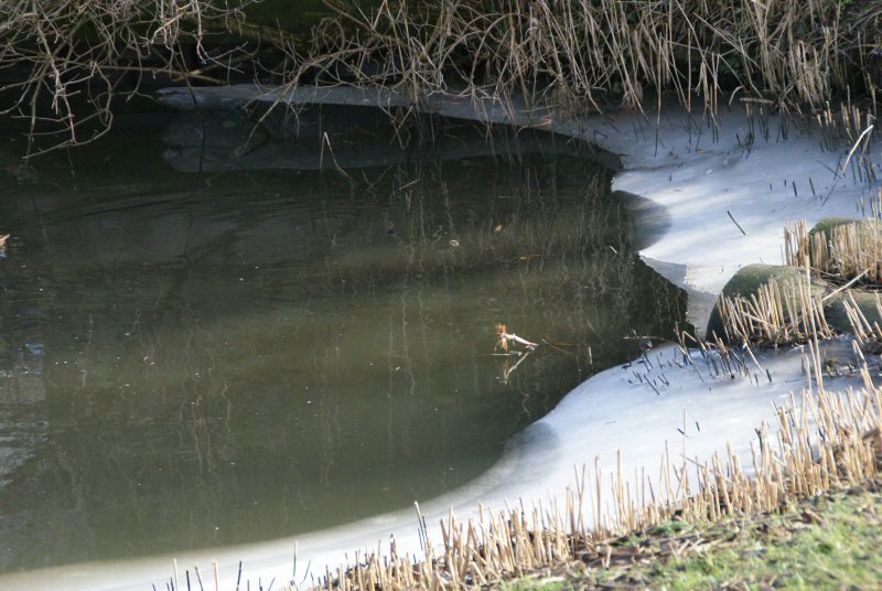 Waterpeil per abuis verlaagd