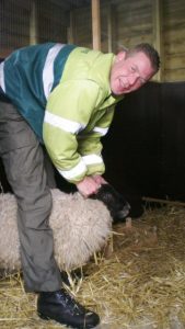 Schaapje gevonden in Schagen