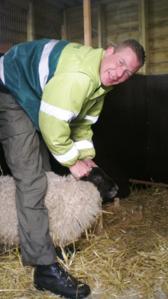 Schaapje gevonden in Schagen