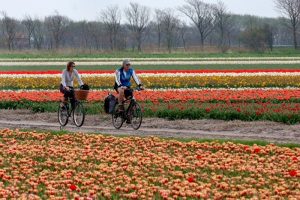 Bloeiend Zijpe start op 3 april