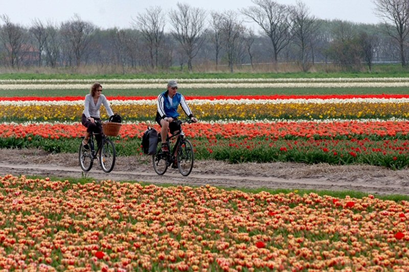 Bloeiend Zijpe start op 3 april