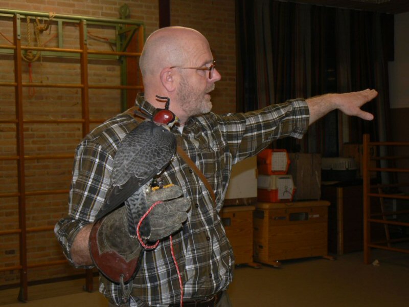 Start vogelproject Nico Tinbergen
