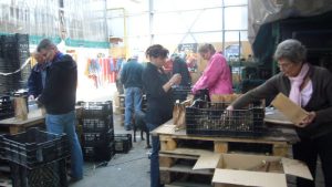 Bloeiend Zijpe in volle gang
