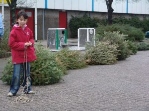 Kerstbomen inzameling