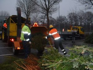 Inzameling van kerstbomen