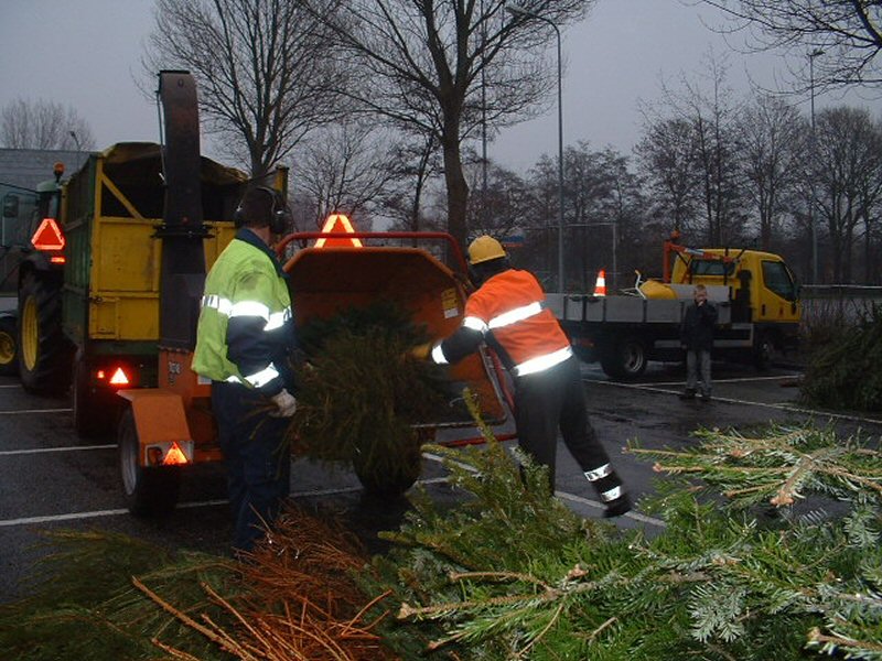 Inzameling van kerstbomen