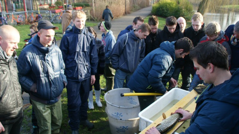 Geen grote vissen meer
