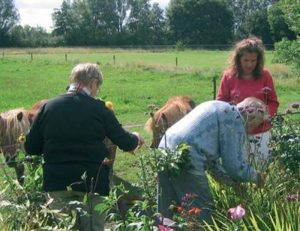 De Tuin voor dementerenden