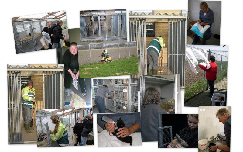 Wethouders in het asiel