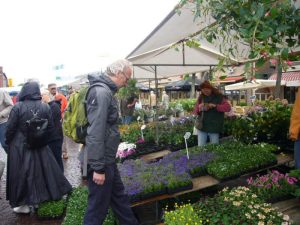 Schagen Tuinstad
