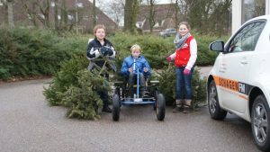 Kerstbomen thuis gehaald