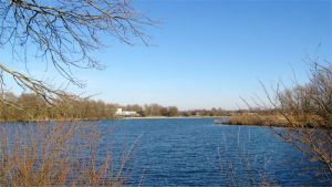 Provincie tegen houtzaagmolen