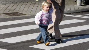 Veilige oversteek bij Zwanenest