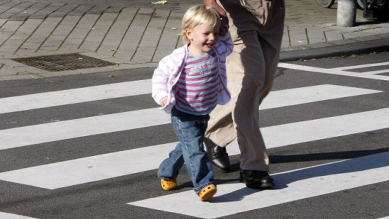 Veilige oversteek bij Zwanenest