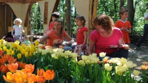 Tulpenland weer open