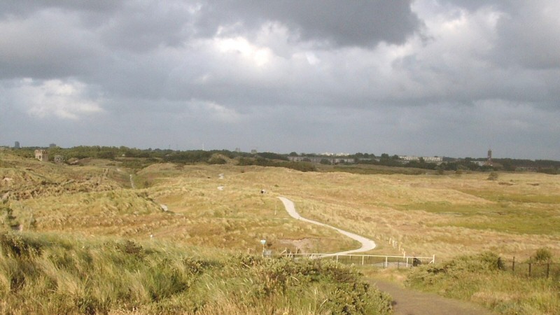 Beleef het blauwe uur in het Borgat