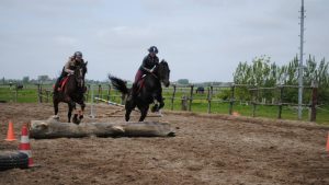 Open dag Stal Westfriesedijk
