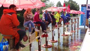Volhouders op de paal in Kolhorn