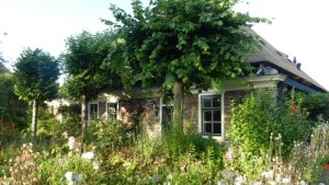 Cottagetuin ‘De Engelhoeve’