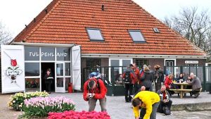 Tulpenexpositie Tulpenland
