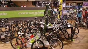 Beukers in de race voor titel