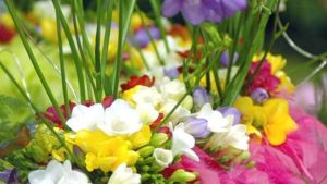 De Lentetuin goes down under