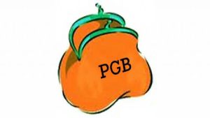 Gemeente praat met cliënten over pgb