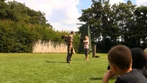 Roofvogelshow