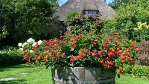 Open tuin bij de Engelhoeve