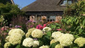 Cottagetuin `de Engelhoeve`