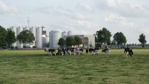 ‘Hulp nodig in Lutjewinkel’