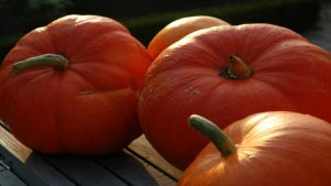 Pompoen uithollen in herfstvakantie