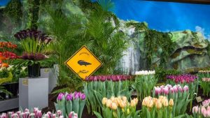 Gezocht: vrijwilligers voor de Lentetuin