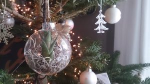 Kerstmarkt in Magnushof