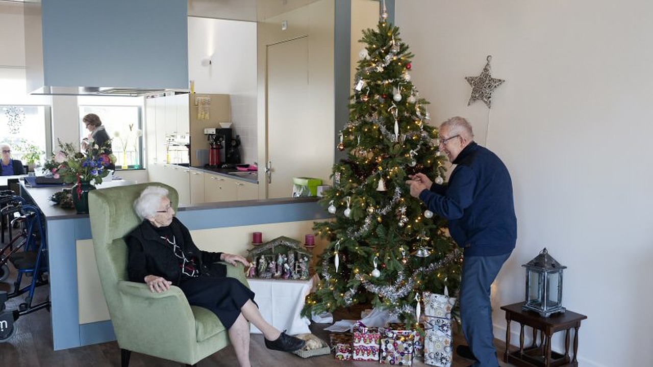 Angelapark krijgt kerstbomen cadeau