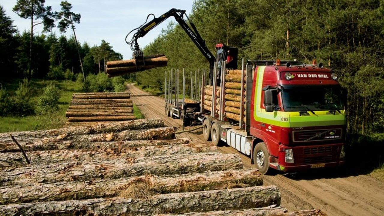Boswerkzaamheden in Pettermerduinen