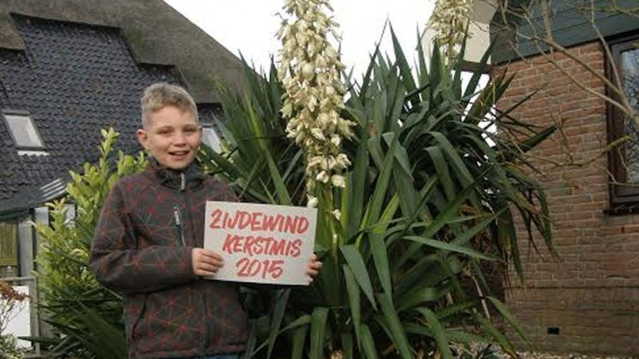 Zeldzame bloei door warmte